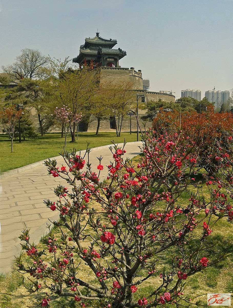 点击在新窗口查看原始图片