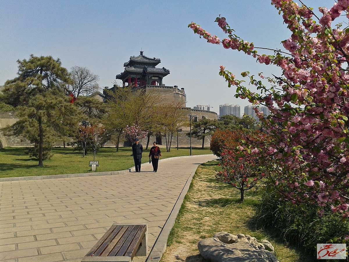 点击在新窗口查看原始图片