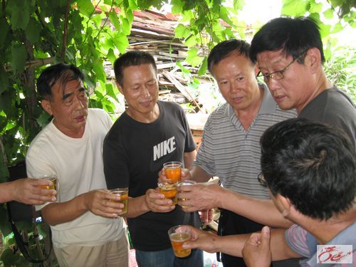 点击在新窗口查看原始图片