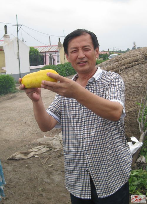 点击在新窗口查看原始图片