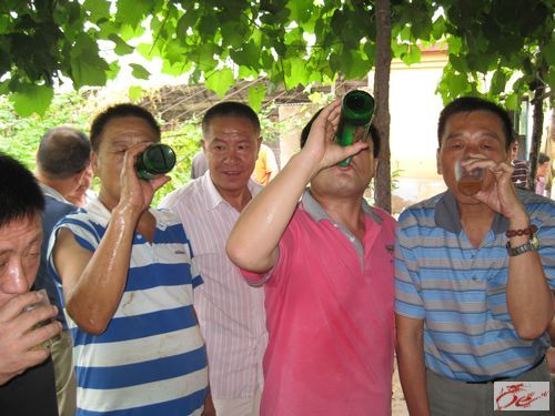 点击在新窗口查看原始图片
