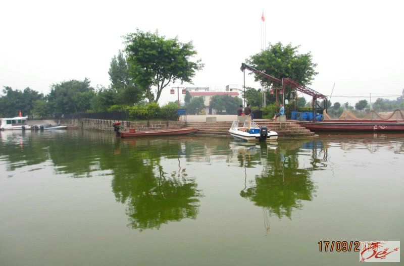 点击在新窗口查看原始图片