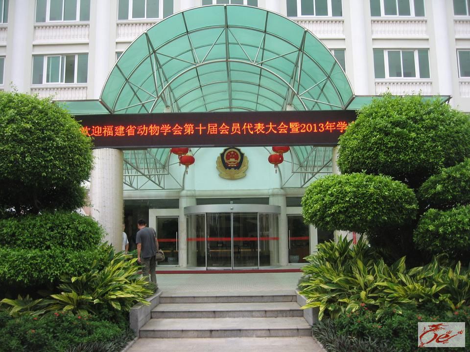 点击在新窗口查看原始图片