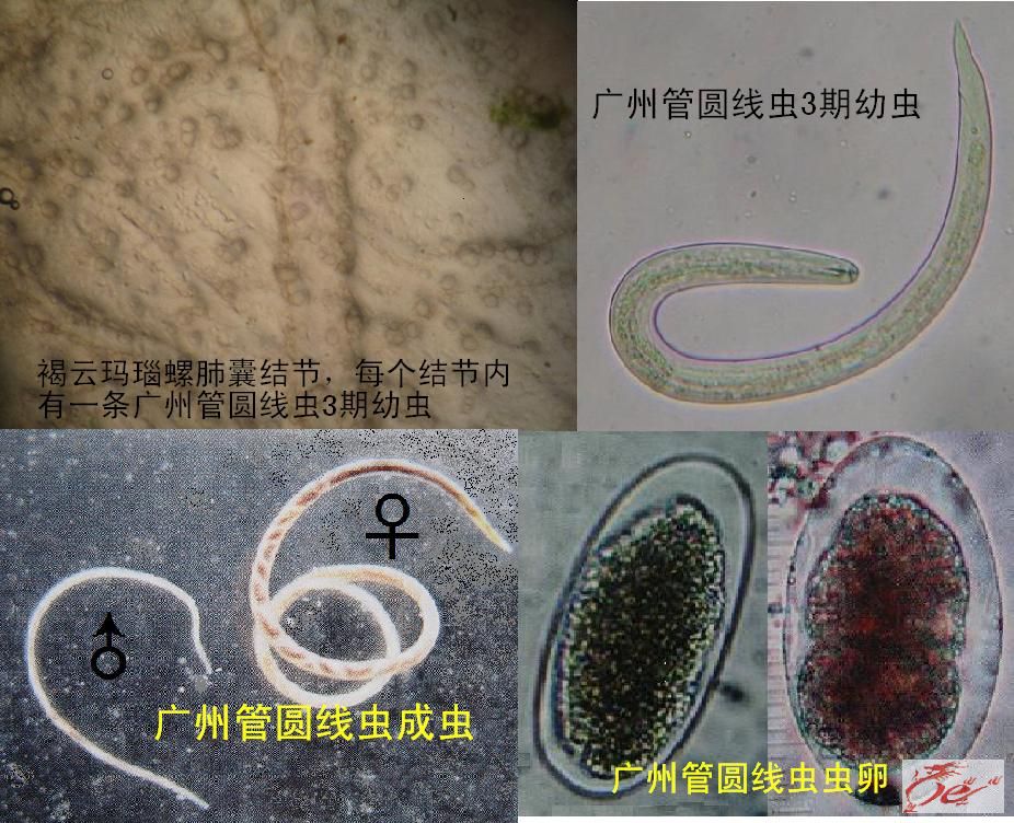 点击在新窗口查看原始图片