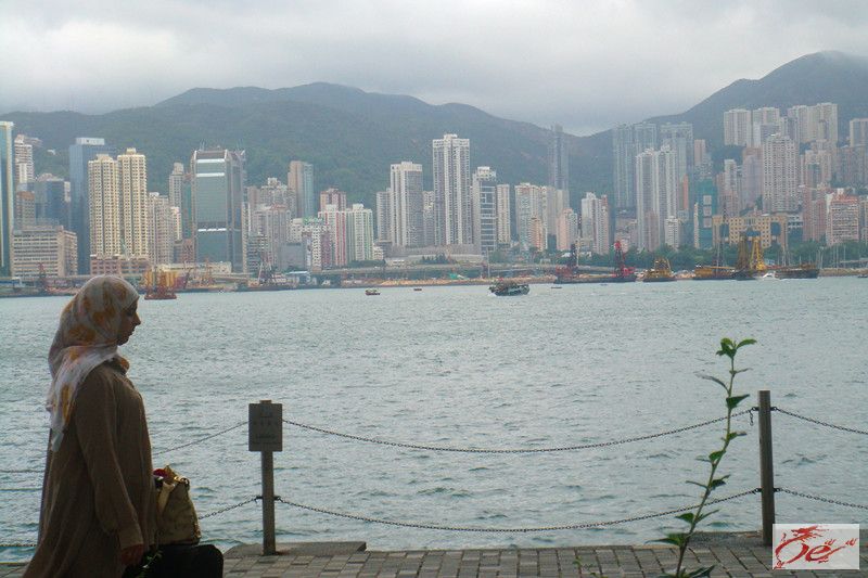 点击在新窗口查看原始图片