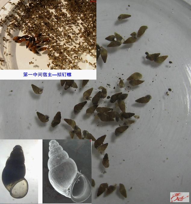 点击在新窗口查看原始图片