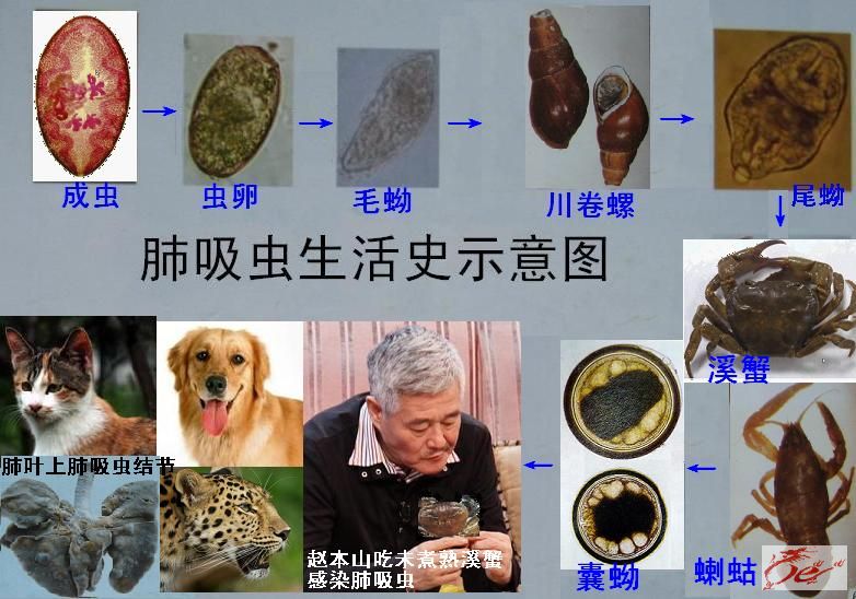 点击在新窗口查看原始图片
