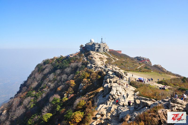 点击在新窗口查看原始图片