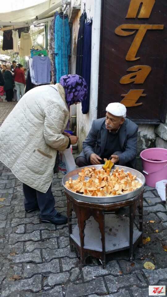 点击在新窗口查看原始图片