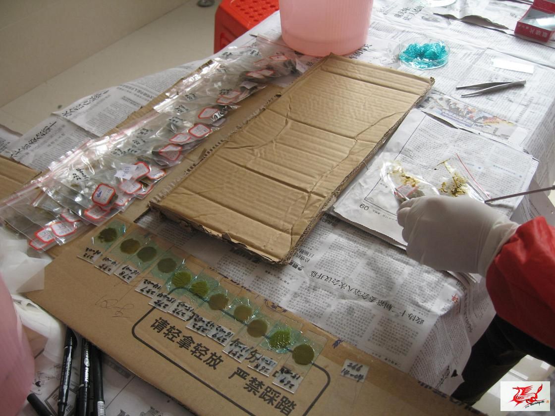 点击在新窗口查看原始图片