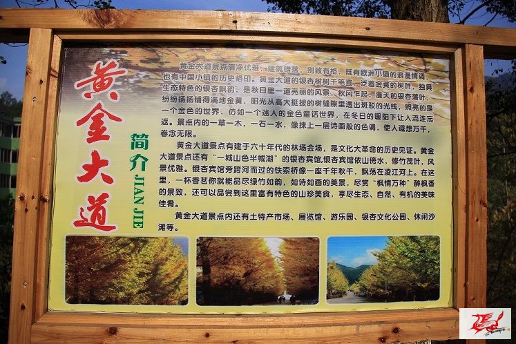点击在新窗口查看原始图片