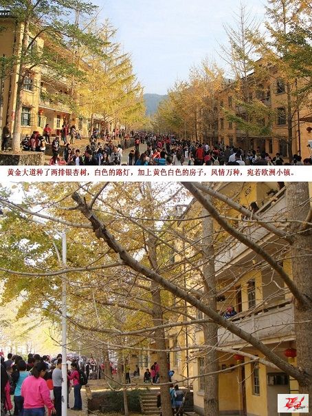 点击在新窗口查看原始图片