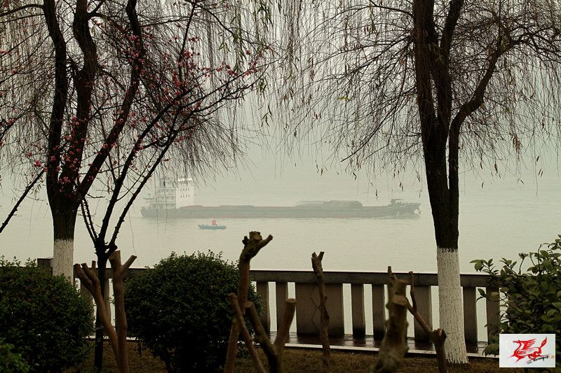 点击在新窗口查看原始图片
