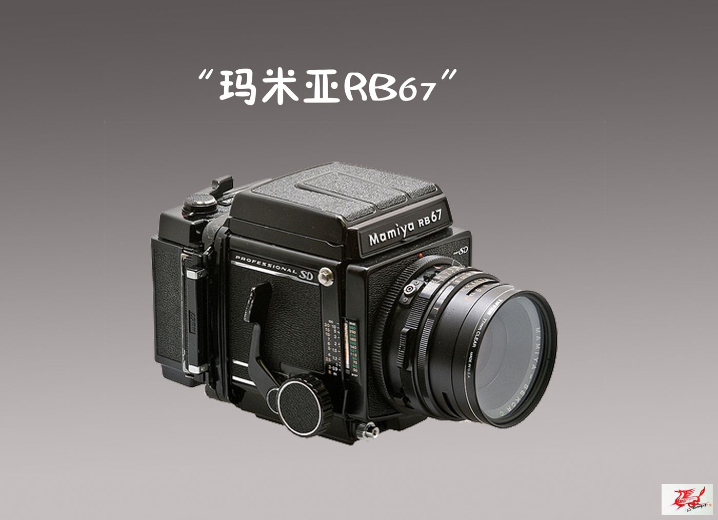 点击在新窗口查看原始图片