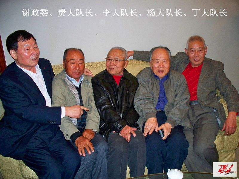 点击在新窗口查看原始图片