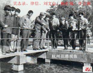 点击在新窗口查看原始图片