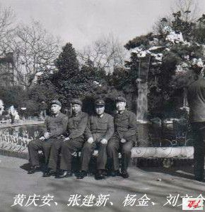 点击在新窗口查看原始图片