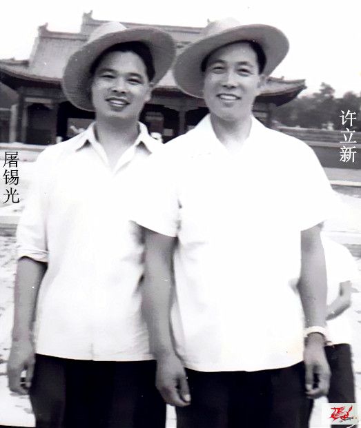 点击在新窗口查看原始图片