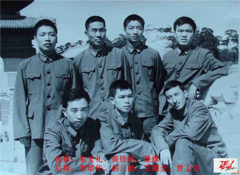 点击在新窗口查看原始图片