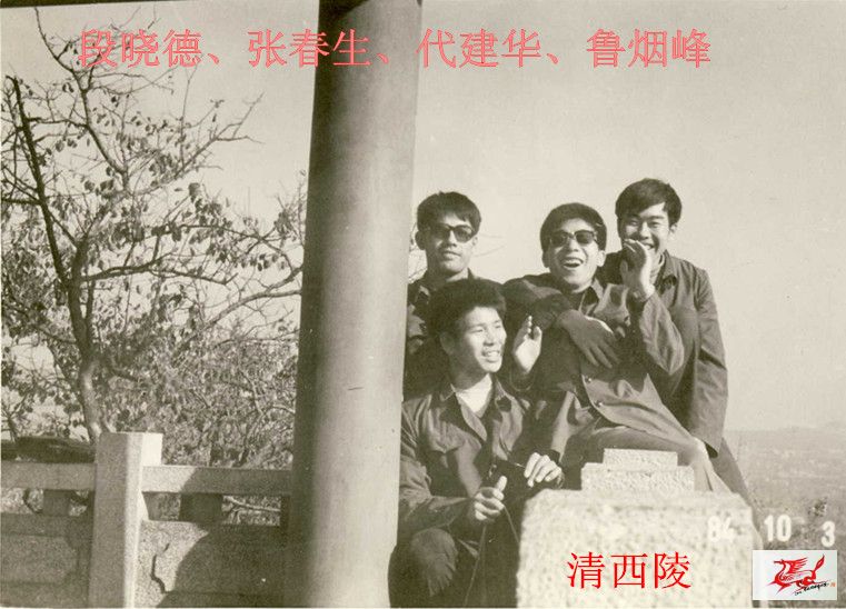 点击在新窗口查看原始图片