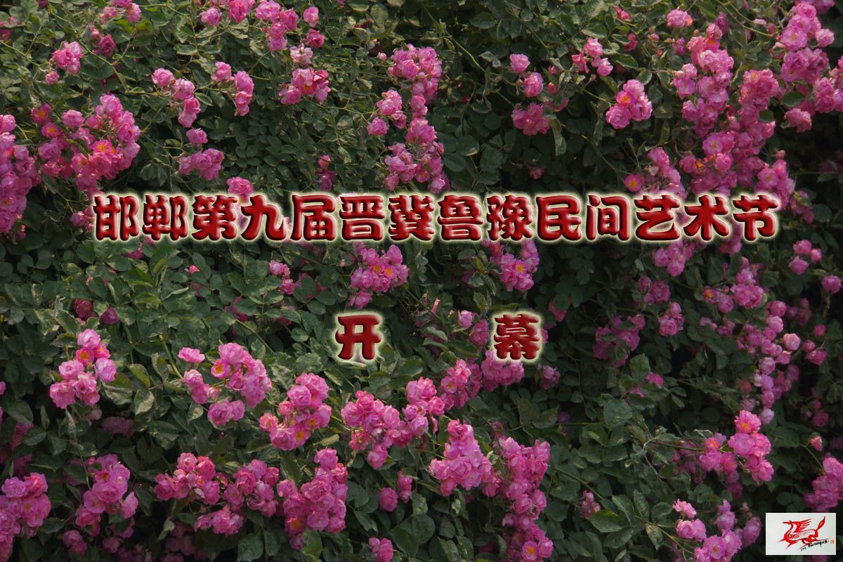 点击在新窗口查看原始图片