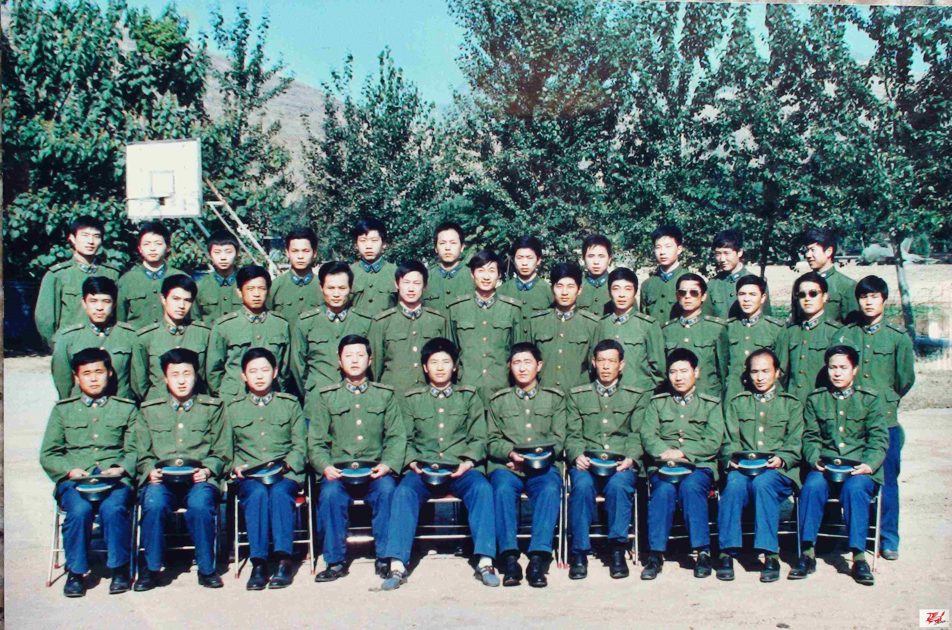 点击在新窗口查看原始图片