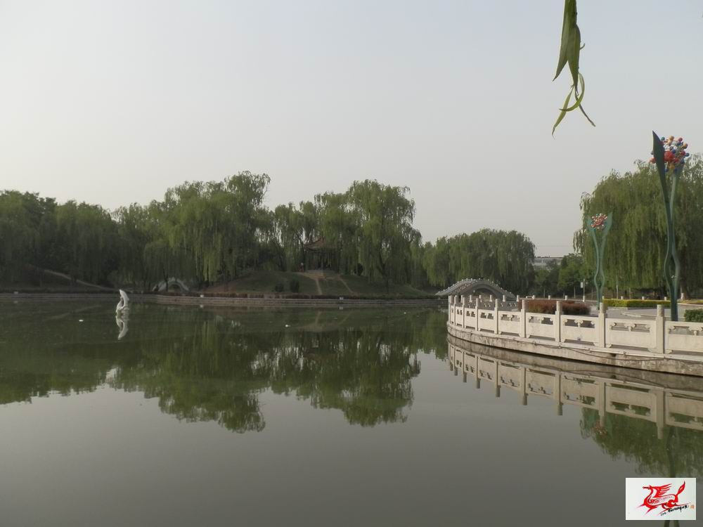 点击在新窗口查看原始图片