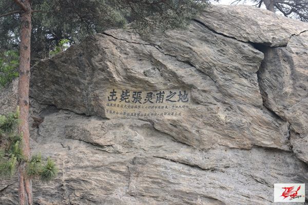 点击在新窗口查看原始图片
