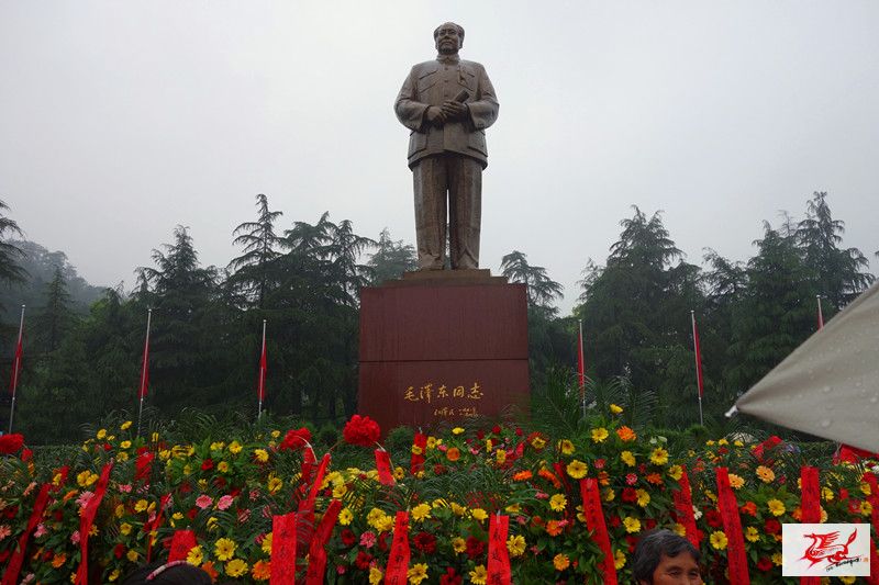 点击在新窗口查看原始图片