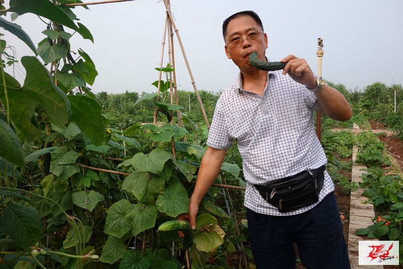 点击在新窗口查看原始图片