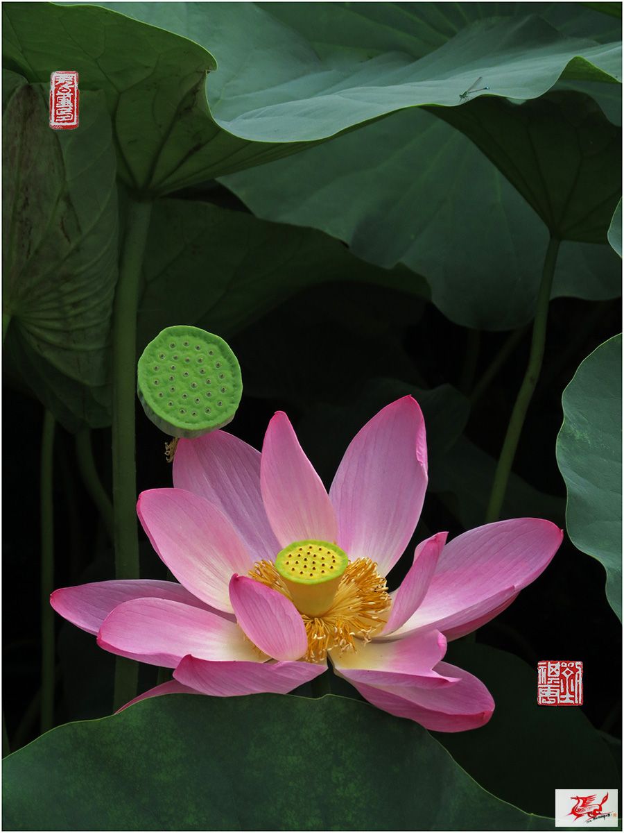 点击在新窗口查看原始图片