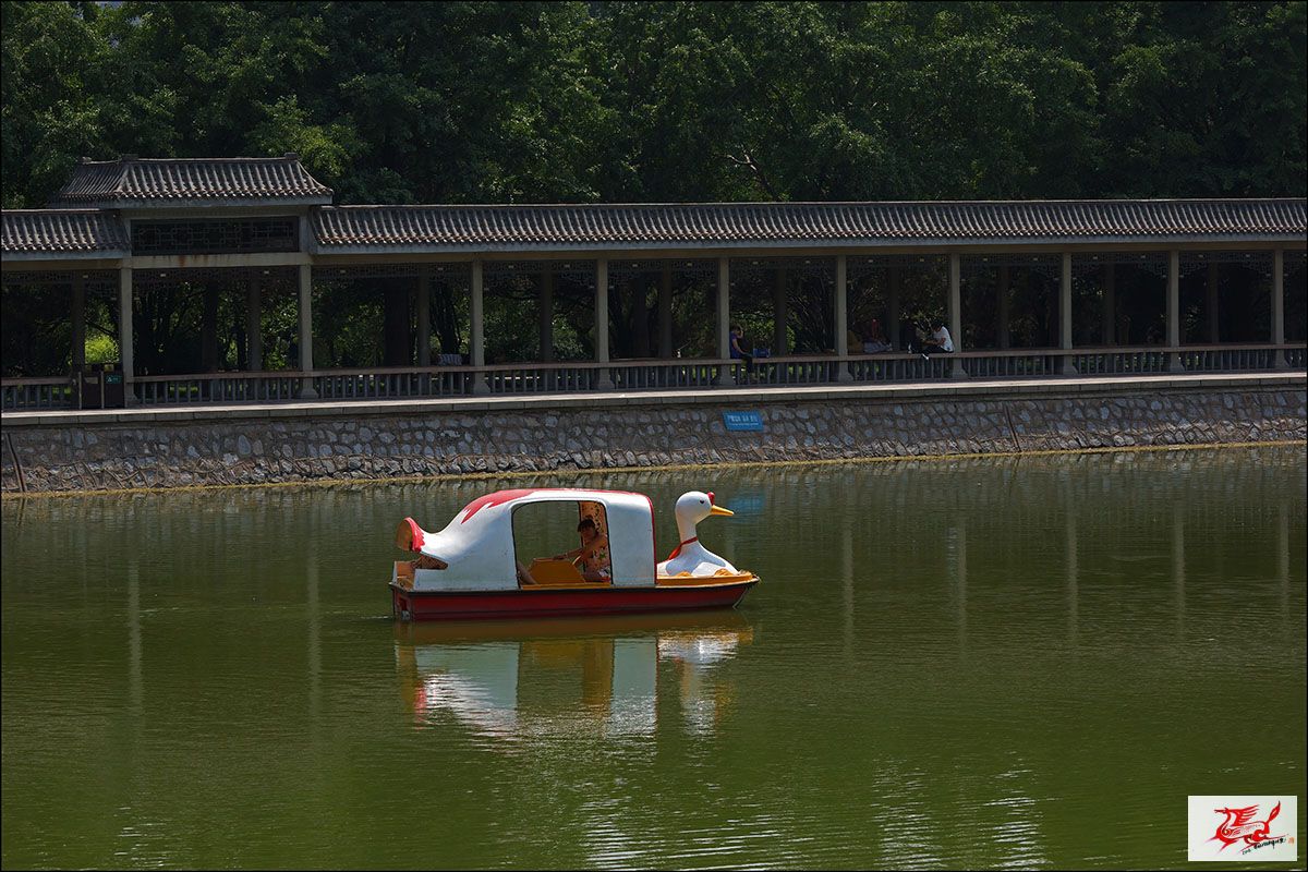 点击在新窗口查看原始图片