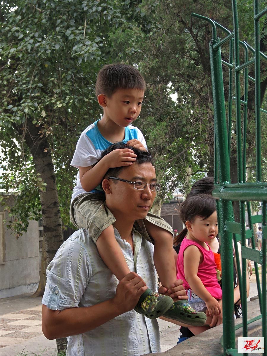 点击在新窗口查看原始图片