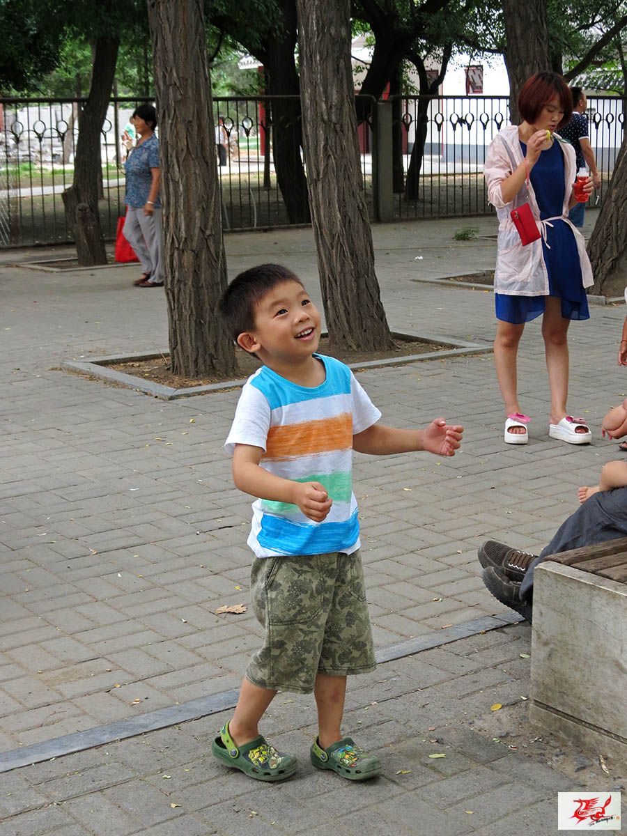 点击在新窗口查看原始图片