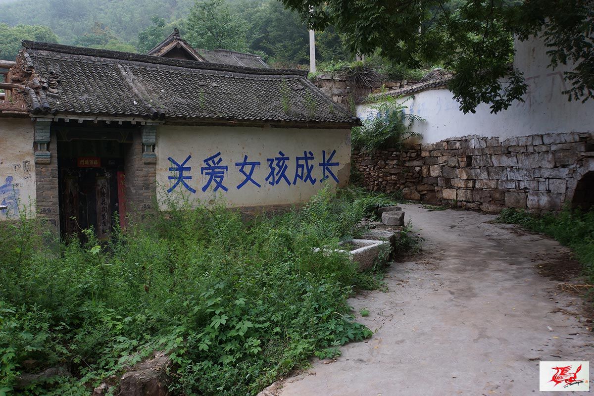点击在新窗口查看原始图片