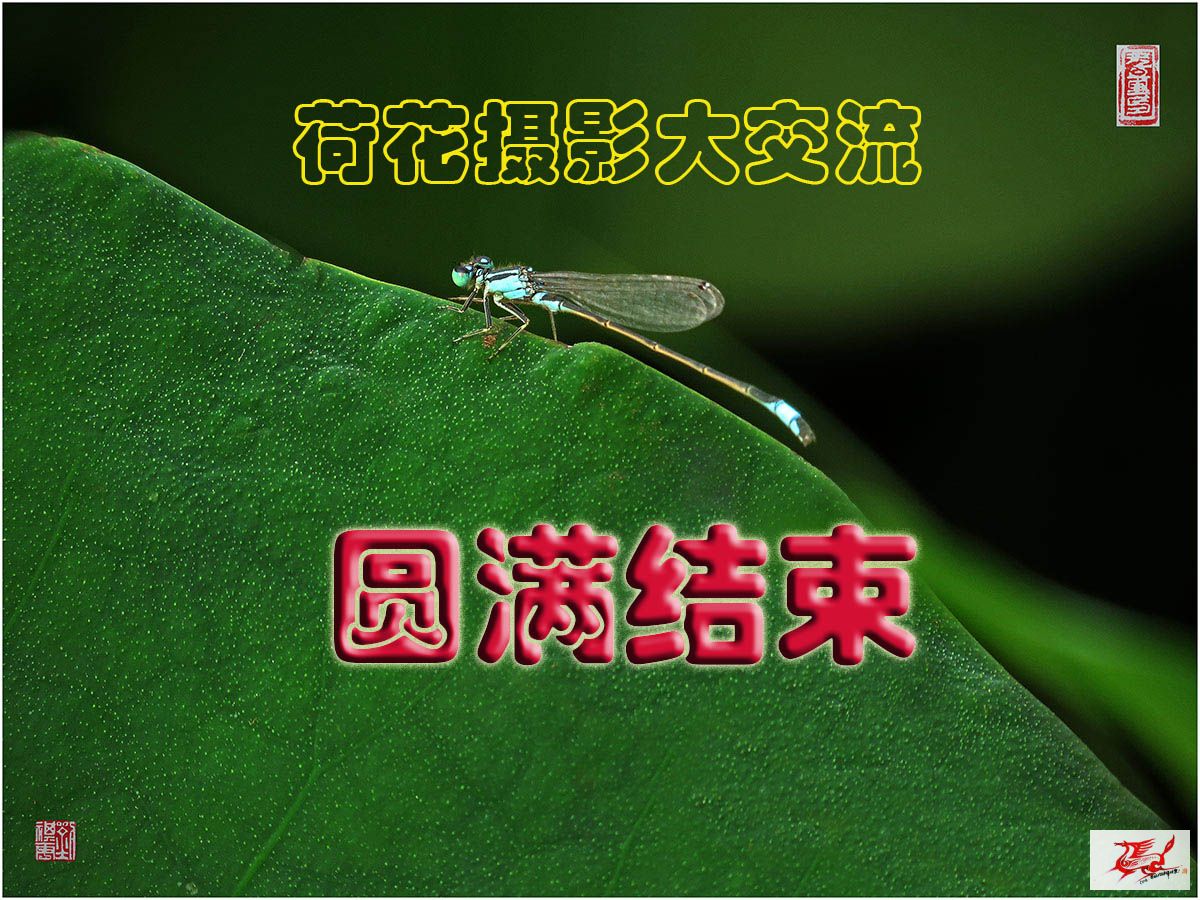 点击在新窗口查看原始图片