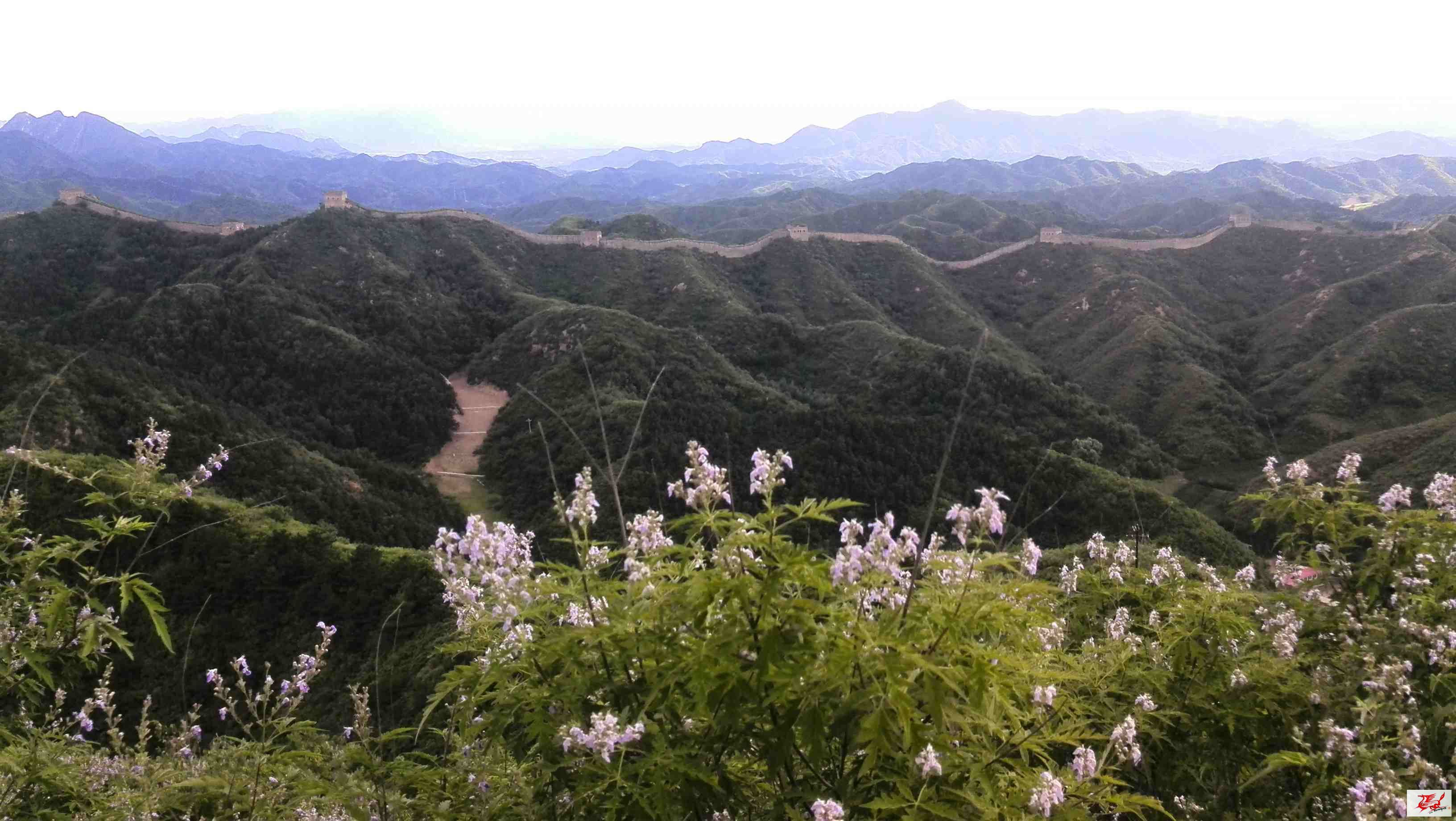 点击在新窗口查看原始图片