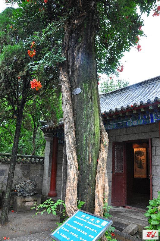 点击在新窗口查看原始图片