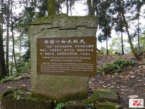 点击在新窗口查看原始图片