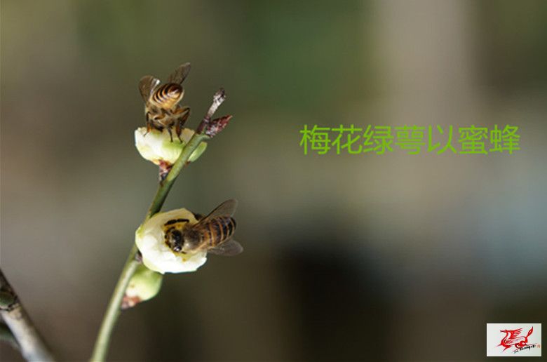 点击在新窗口查看原始图片