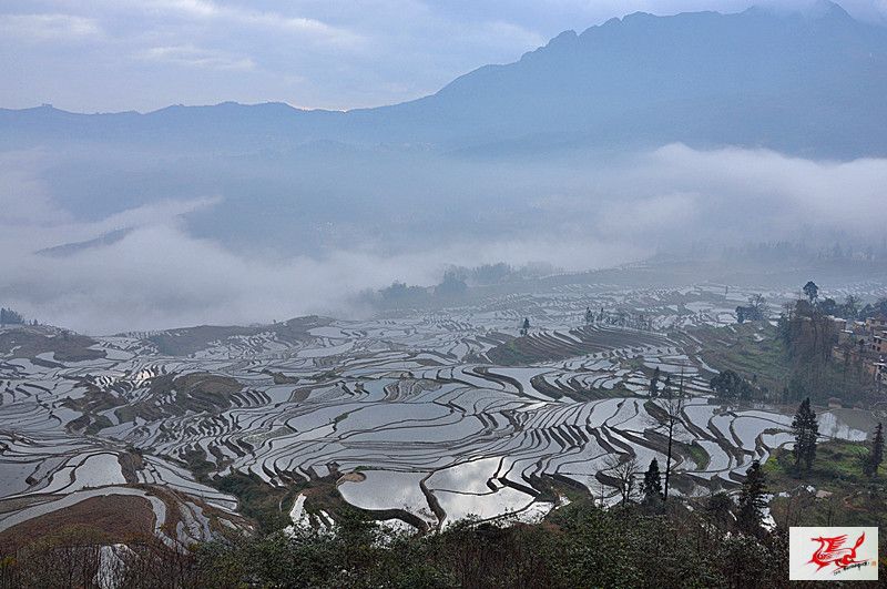 点击在新窗口查看原始图片