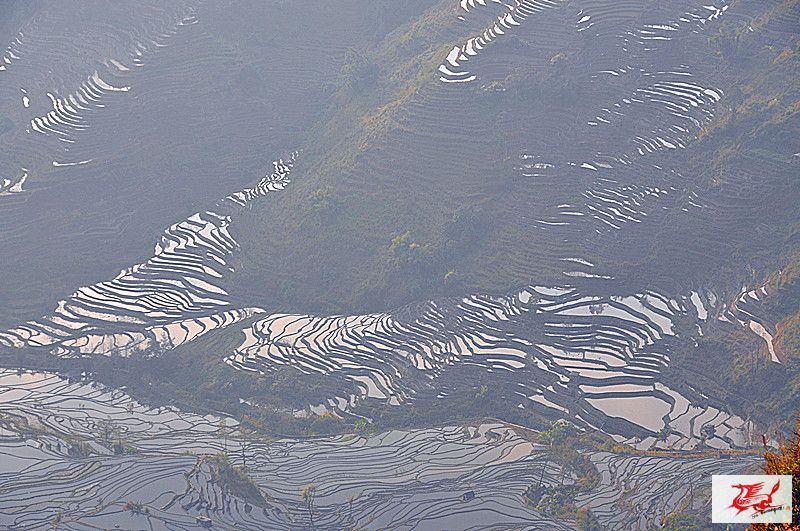 点击在新窗口查看原始图片