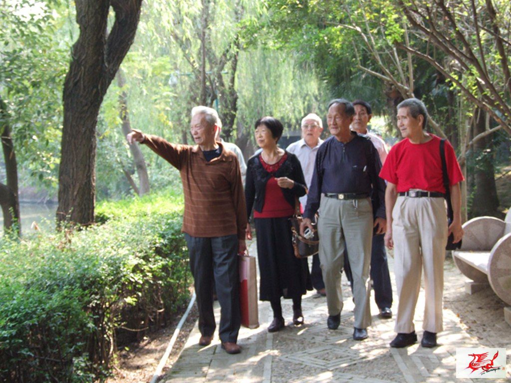 点击在新窗口查看原始图片