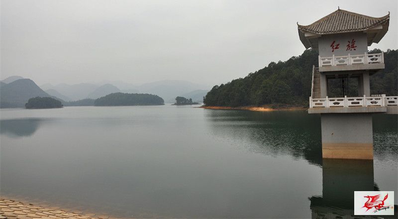 点击在新窗口查看原始图片