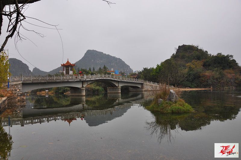 点击在新窗口查看原始图片