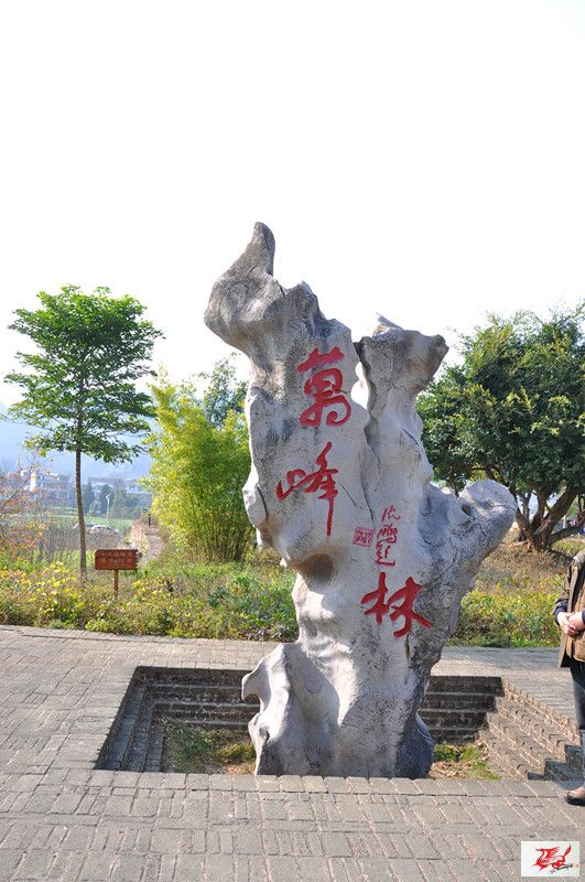 点击在新窗口查看原始图片