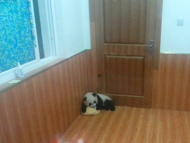 点击在新窗口查看原始图片