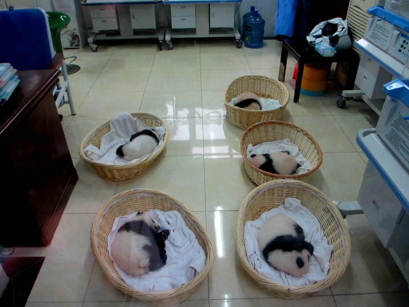 点击在新窗口查看原始图片