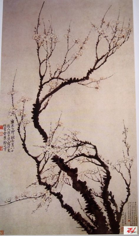 点击在新窗口查看原始图片