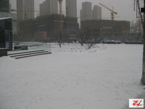 点击在新窗口查看原始图片